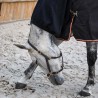 Couvre-cou polaire ☃️ - K Equestrian 🧣
