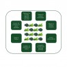 Biscuit Cheval - Green Power Spiruline - Happy Crackers - Bio, Vegan et sans Gluten -