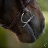 Mors Carl Titanium Baby Fulmer - Fager