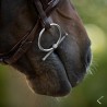 Mors Sally Titanium Baby Fulmer - Fager
