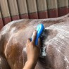 🧼🐴 Shampoing solide pour chevaux - La Douche à Maouche