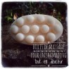 Horse Solid Shampoo – La Douche à Maouche
