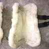 Shampoing sec en poudre pour chevaux - La Douche à Maouche
