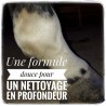 Shampoing sec en poudre pour chevaux - La Douche à Maouche