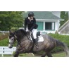 ⭐Tapis Training Pad - Baby Pad - Bi Color - Ogilvy Equestrian