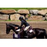 Tapis Training Pad - Baby Pad tricolore Ogilvy Equestrian