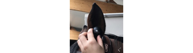 Bouchons d'oreilles avec cordelette - PLUGHZ