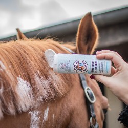 Horse Dry Shampoo Powder –...