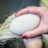 🧼🐴 Shampoing solide pour chevaux - La Douche à Maouche