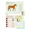 Mon cahier d'activités sur le thème du cheval - CP
